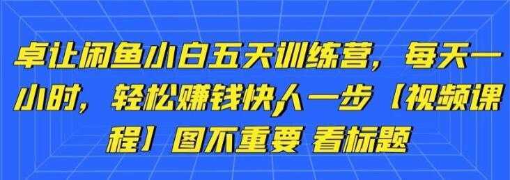 卓让《闲鱼项目小白五天训练营》每天一小时，轻松赚钱快人一步-课程网