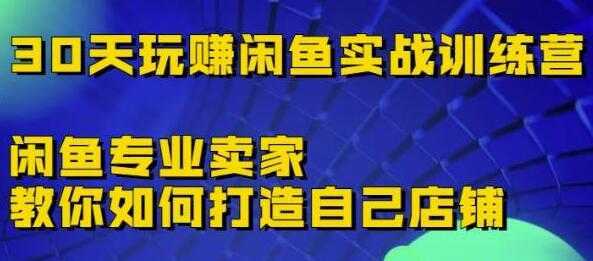 《30天玩赚闲鱼实战训练营》闲鱼专业卖家教你如何打造自己店铺-课程网