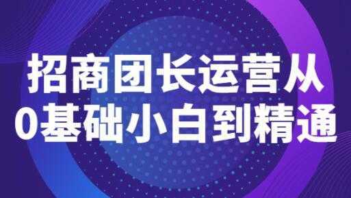 《招商团长运营》从0基础小白到精通-课程网