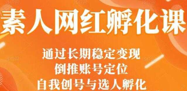 马大个《素人网红孵化课》通过长期稳定变现，自我创号与选人孵化-课程网