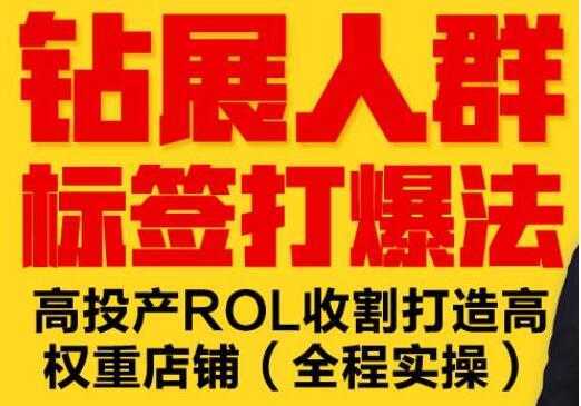 逐鹿《淘宝钻展人群标签打爆法》高投产ROL收割打造高权重店铺(全程实操)-课程网