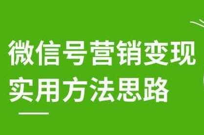 徐悦佳《微信号营销变现实用方法思路》朋友圈刷屏裂变方法-课程网