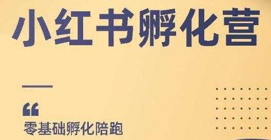 小红书撸金项目，教你如何快速起号获得曝光，做到月躺赚在3000+-课程网