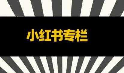 品牌医生《小红书全链营销干货》5个起盘案例，营销策略规划，避坑指南-课程网