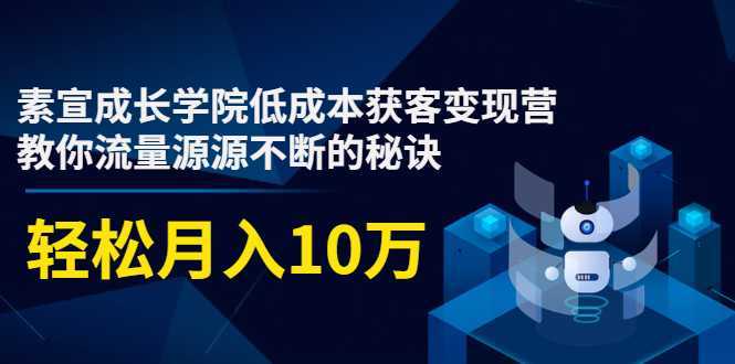 图片[1]-素宣成长学院低成本获客变现营，教你流量源源不断的秘诀，轻松月入10万-课程网