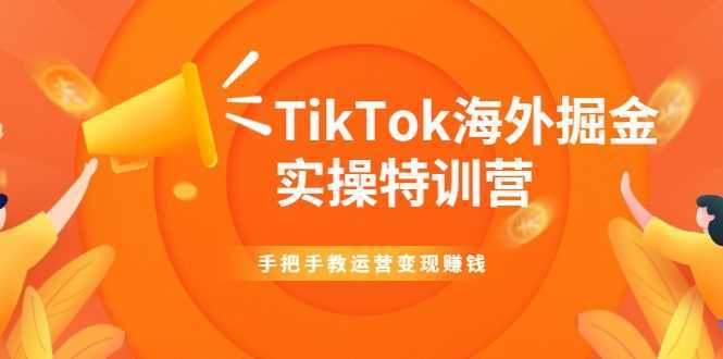 图片[1]-TikTok海外掘金实操特训营：手把手教运营变现赚钱-课程网