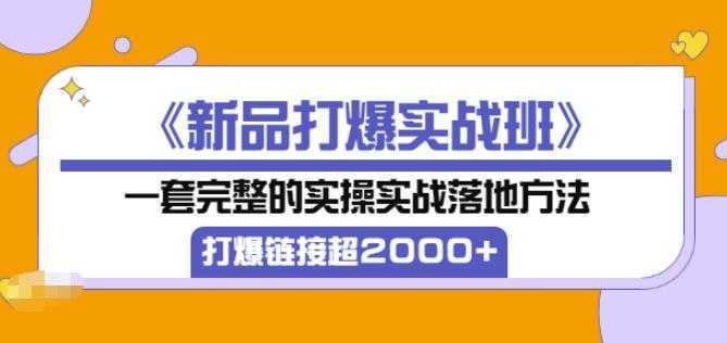 凌童《新品打爆实战班》,一套完整的实操实战落地方法，打爆链接超2000+（28节课)-课程网