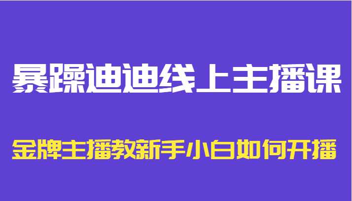 暴躁迪迪线上主播课，金牌主播教新手小白如何开播-课程网