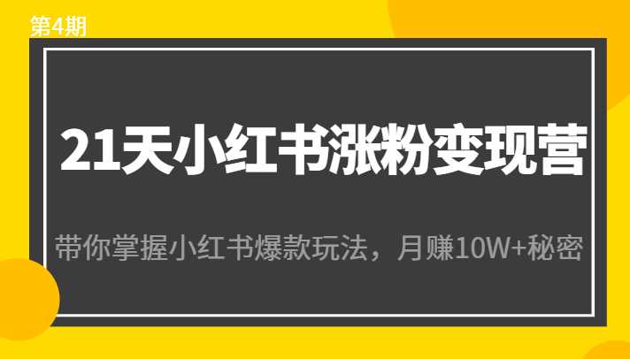 21天小红书涨粉变现营（第4期）：带你掌握小红书爆款玩法，月赚10W+秘密-课程网