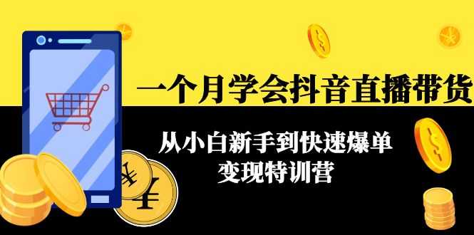 一个月学会抖音直播带货：从小白新手到快速爆单变现特训营(63节课)-课程网