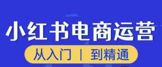 顽石小红书电商高阶运营课程，从入门到精通，玩法流程持续更新-课程网