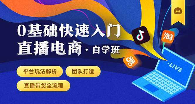 0基础快速入门直播电商课程：直播平台玩法解析-团队打造-带货全流程等环节-课程网