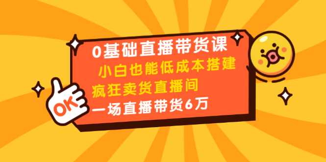 0基础直播带货课：小白也能低成本搭建疯狂卖货直播间：1场直播带货6万-课程网