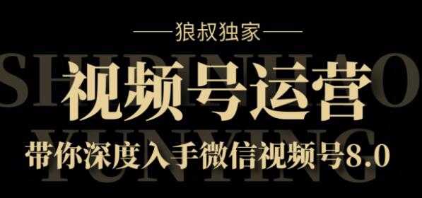 狼叔独家：视频号8.0运营实战课价值1280元-课程网