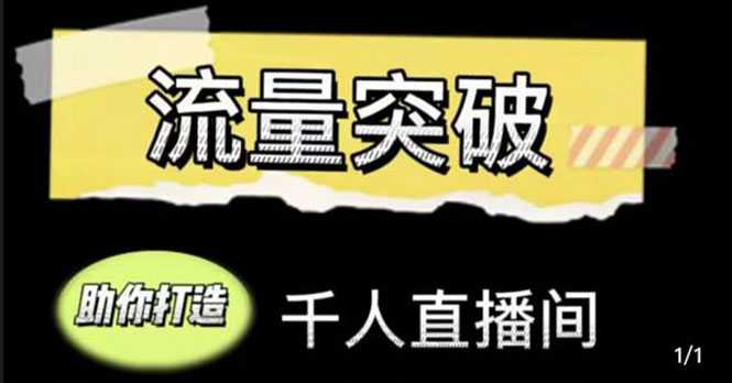 直播运营实战视频课，助你打造千人直播间（14节视频课）-课程网