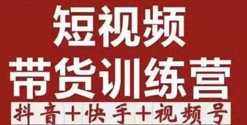 短视频带货特训营（第12期）抖音+快手+视频号：收益巨大，简单粗暴！-课程网