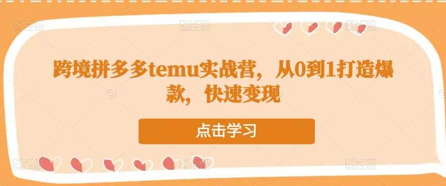 跨境拼多多temu实战营，从0到1打造爆款，快速变现-课程网