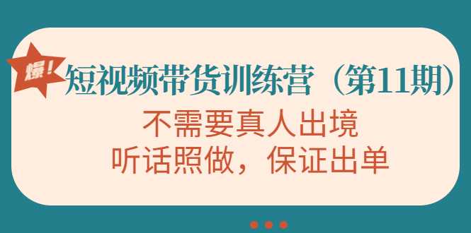 视频带货训练营，不需要真人出境，听话照做，保证出单（第11期）-课程网